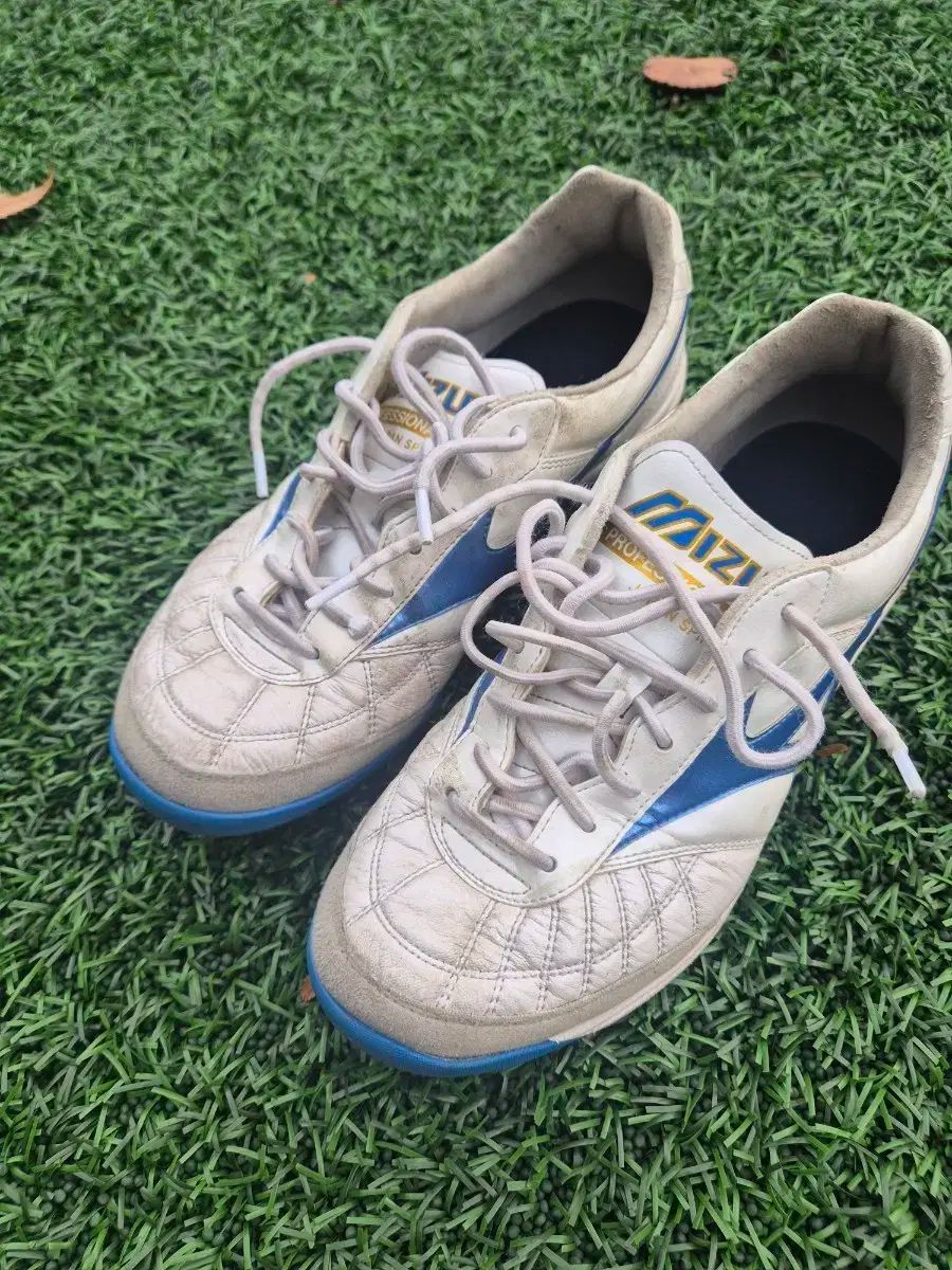 ミズノ サラ ジャパン TF 250