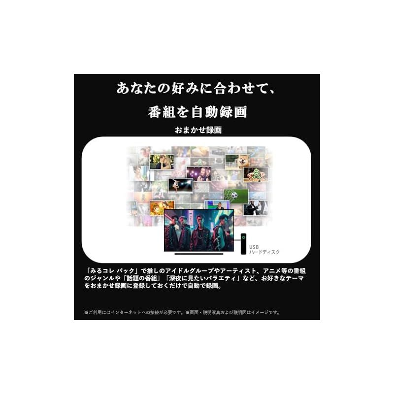 ネット動画対応