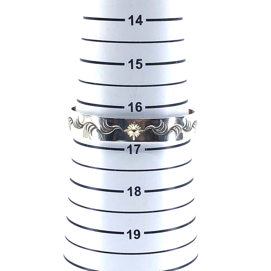 DOM アリゾナフリーダム