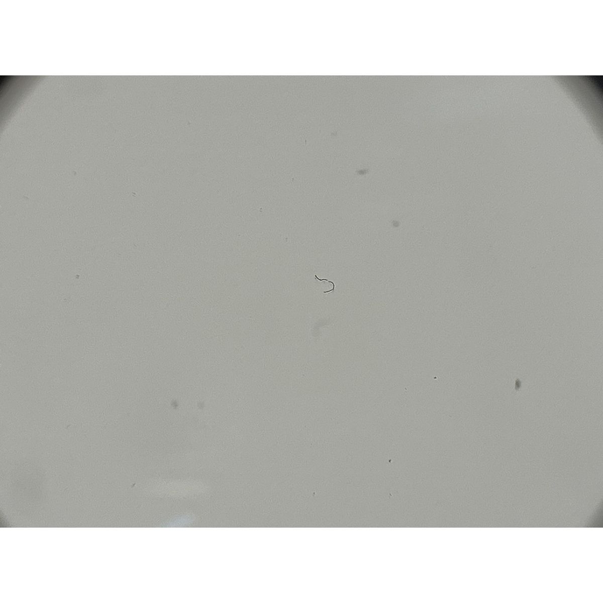  Tokina AT X PRO トキナ SD 14 20 F 2 IF DX カメラ レンズ 訳有 レンズ(ズーム) カメラ