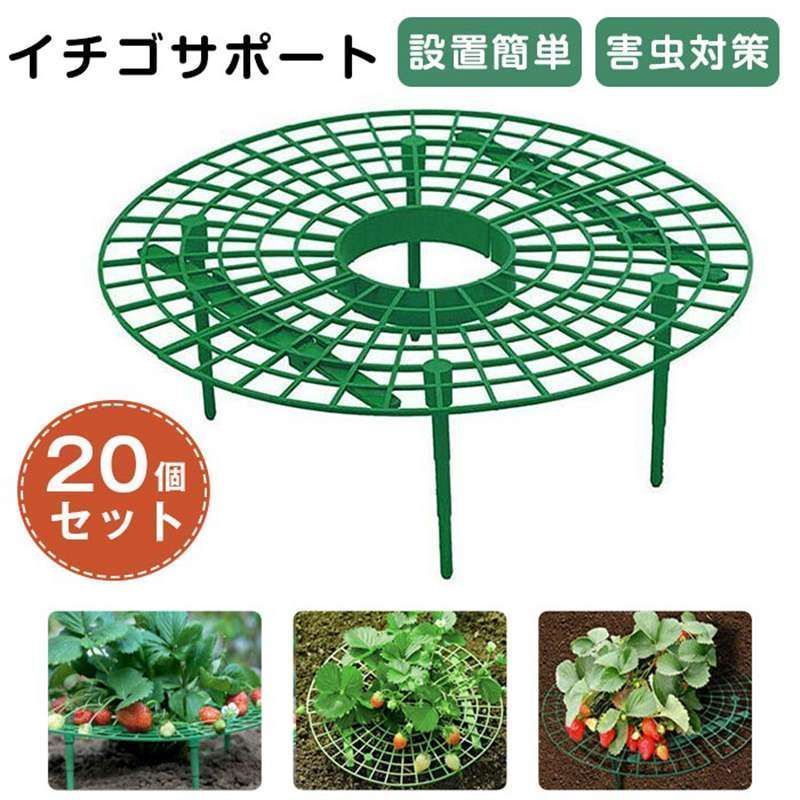 NAOさま専用】ハロウィン ノーネーム 2点セット