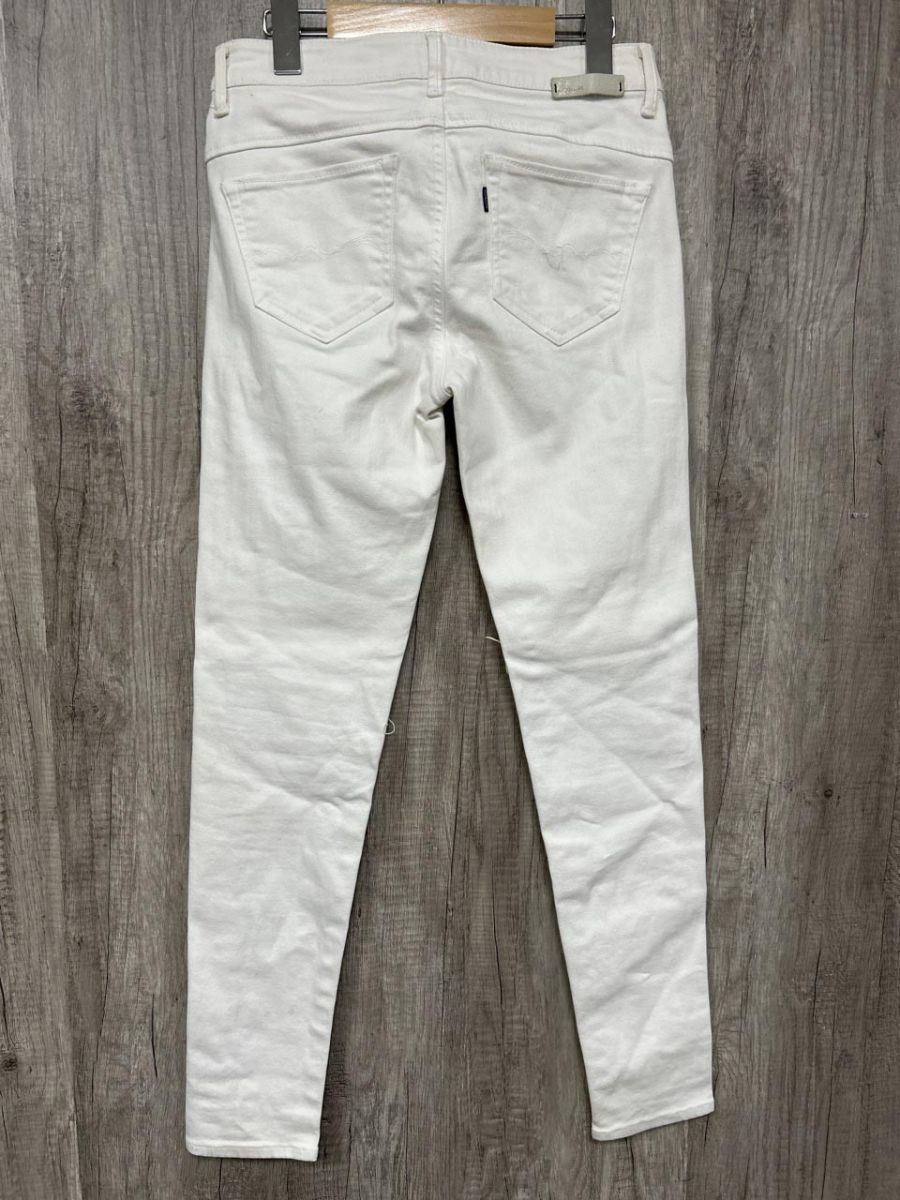 ANTGAUGE アントゲージ