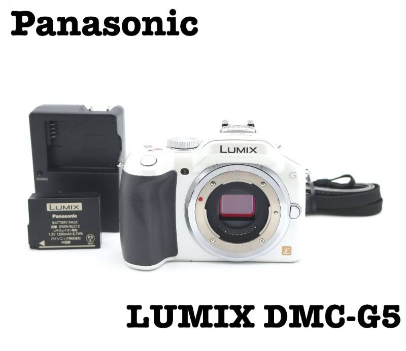 Panasonic DMC-G 5 ボディ