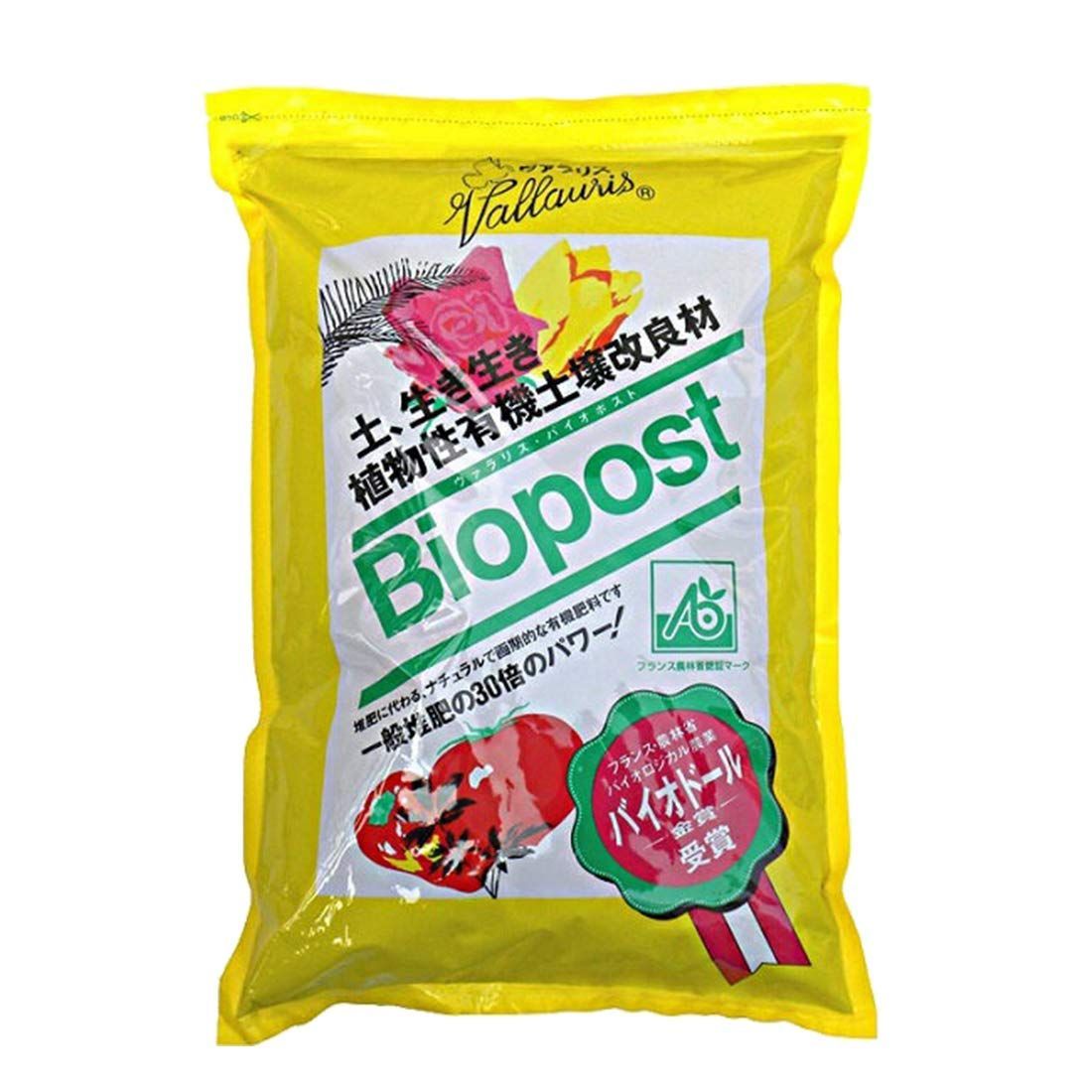 山本容子 銅版画 「にらめっこしましょあっぷっぷ」 愛犬ルーカスと