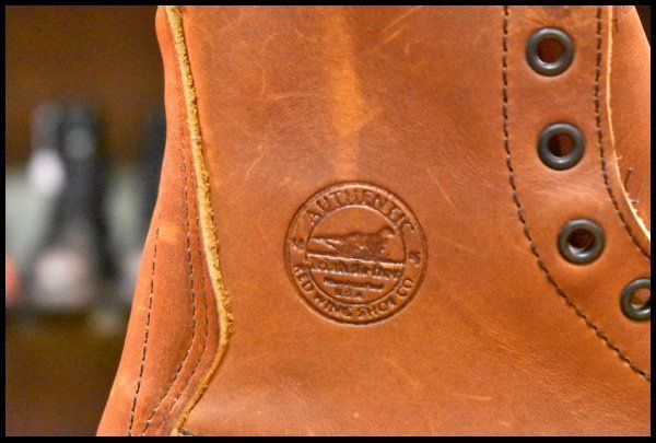 アイリッシュセッター