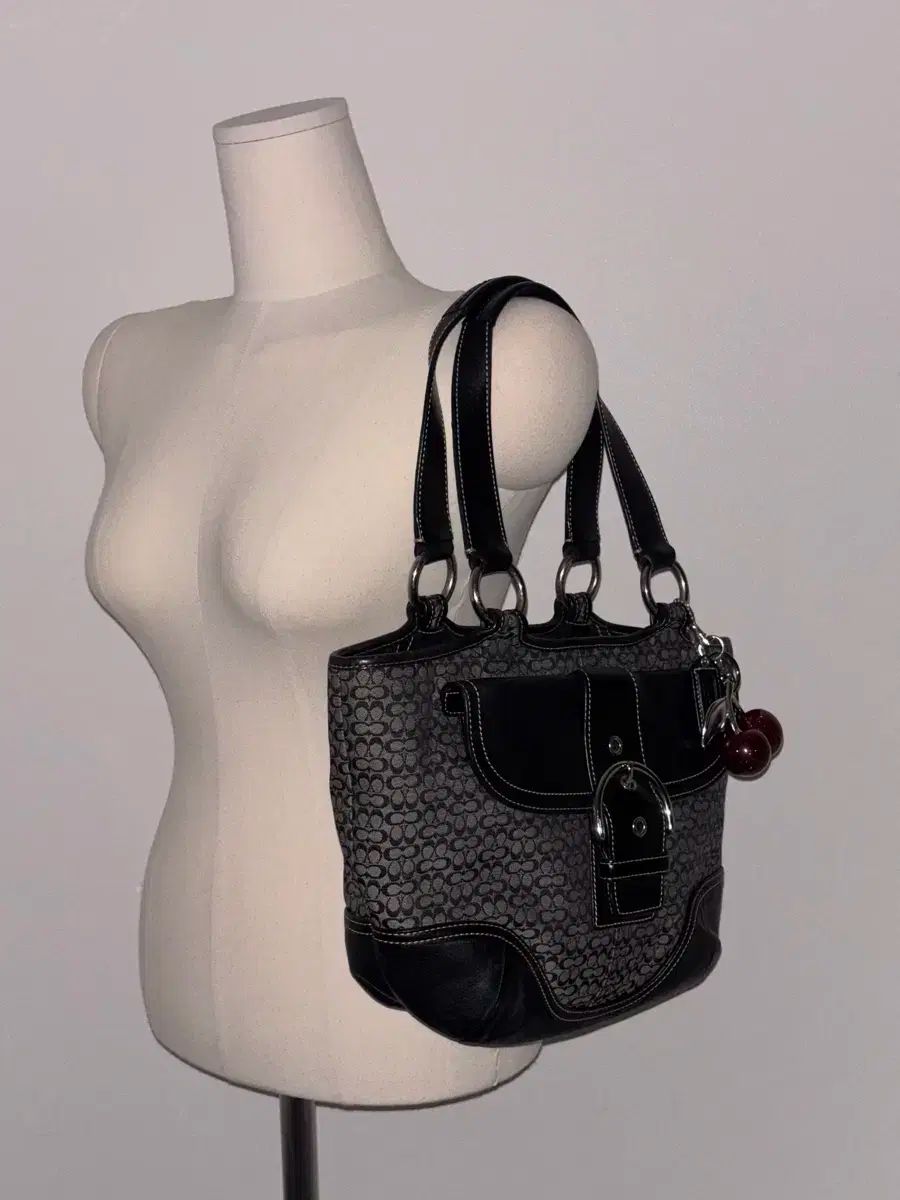 コーチ ヴィンテージ ショルダーバッグ DECORATOM_COM_BR