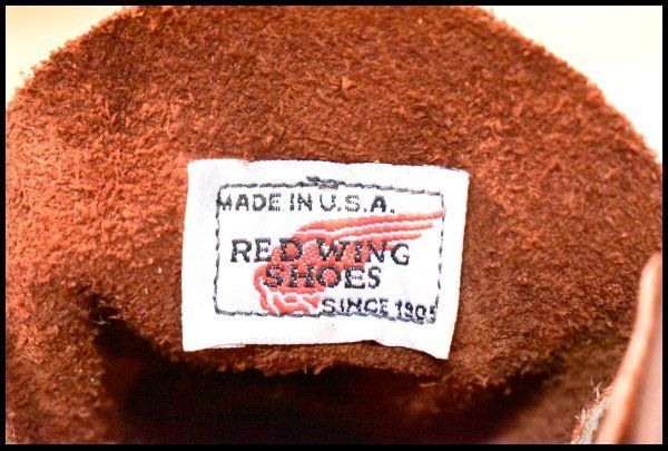 8131 アイリッシュセッター