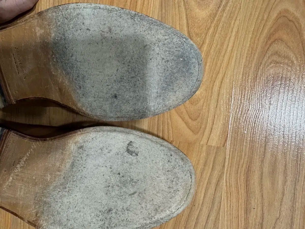 Westong スウェード