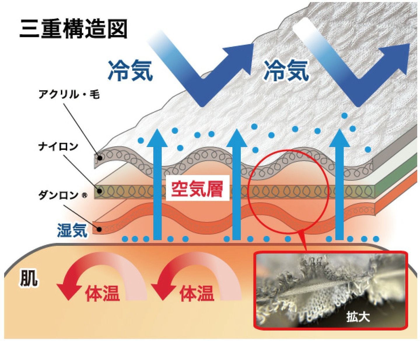 ひだまり 婦人用チョモランマ