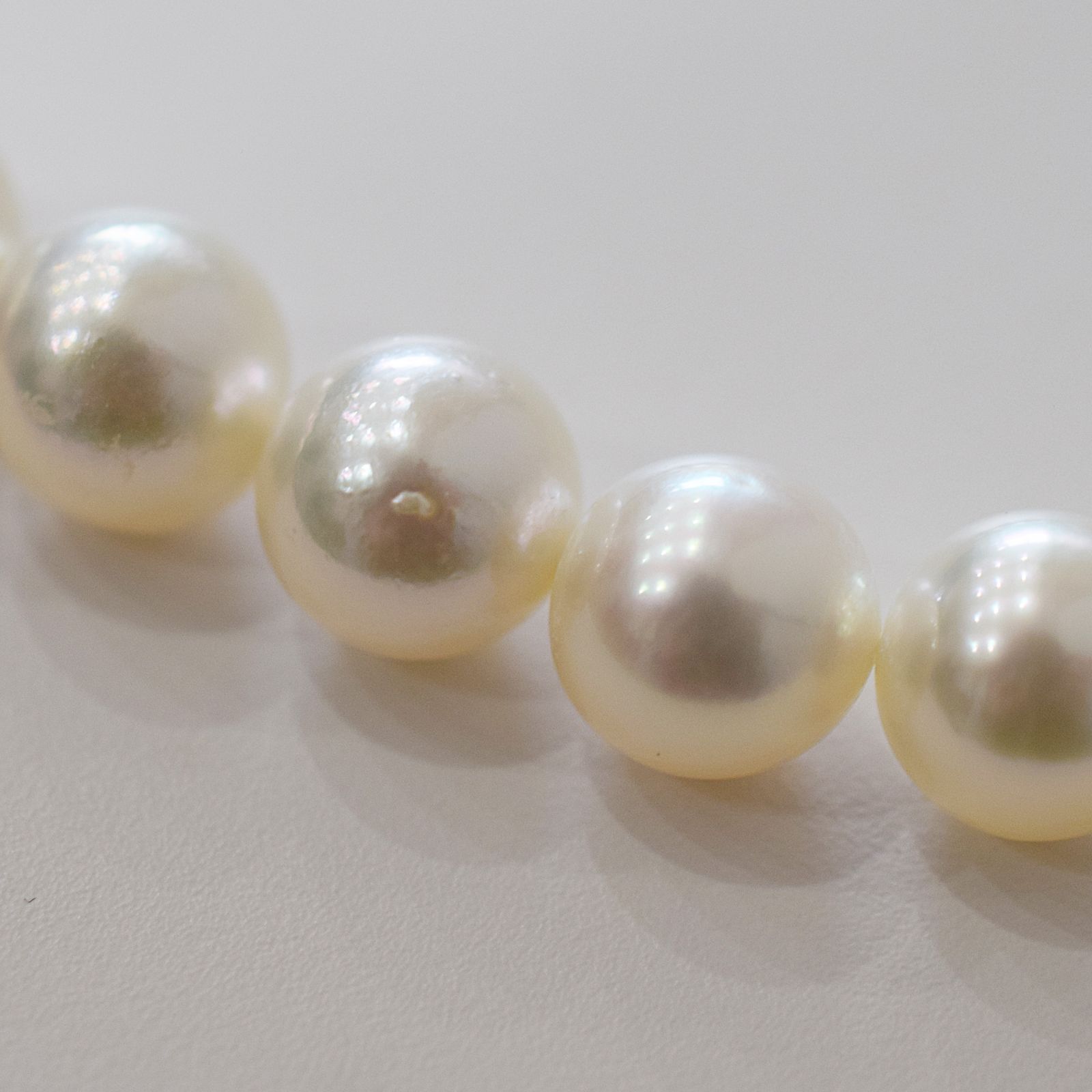 あこや真珠 チョーカー