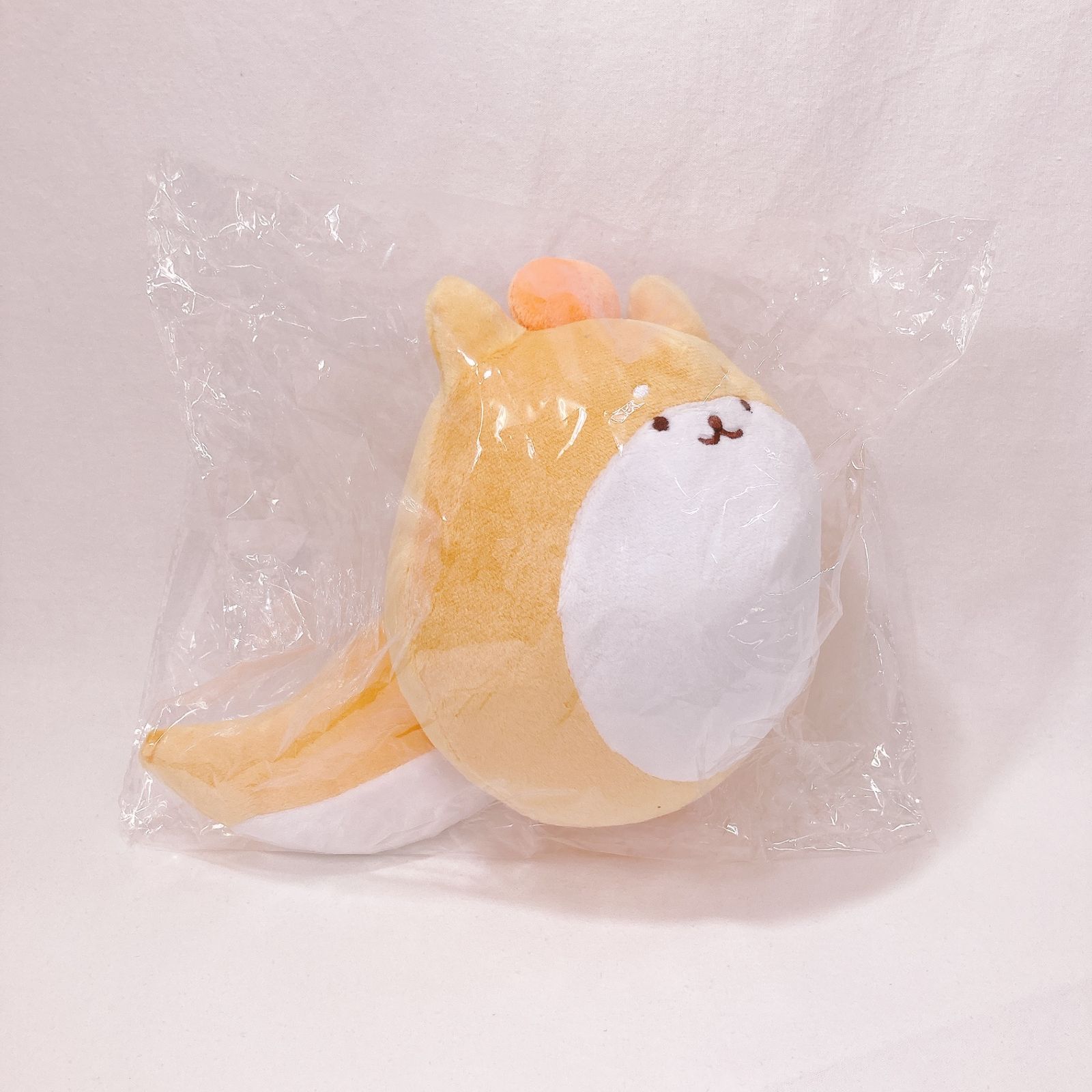 きなこ犬 購入 ぬいぐるみ Kinako CR Crazy Raccoon