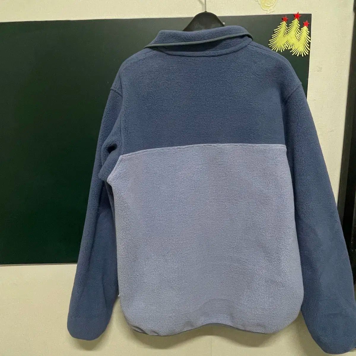 パタゴニア シンチラ