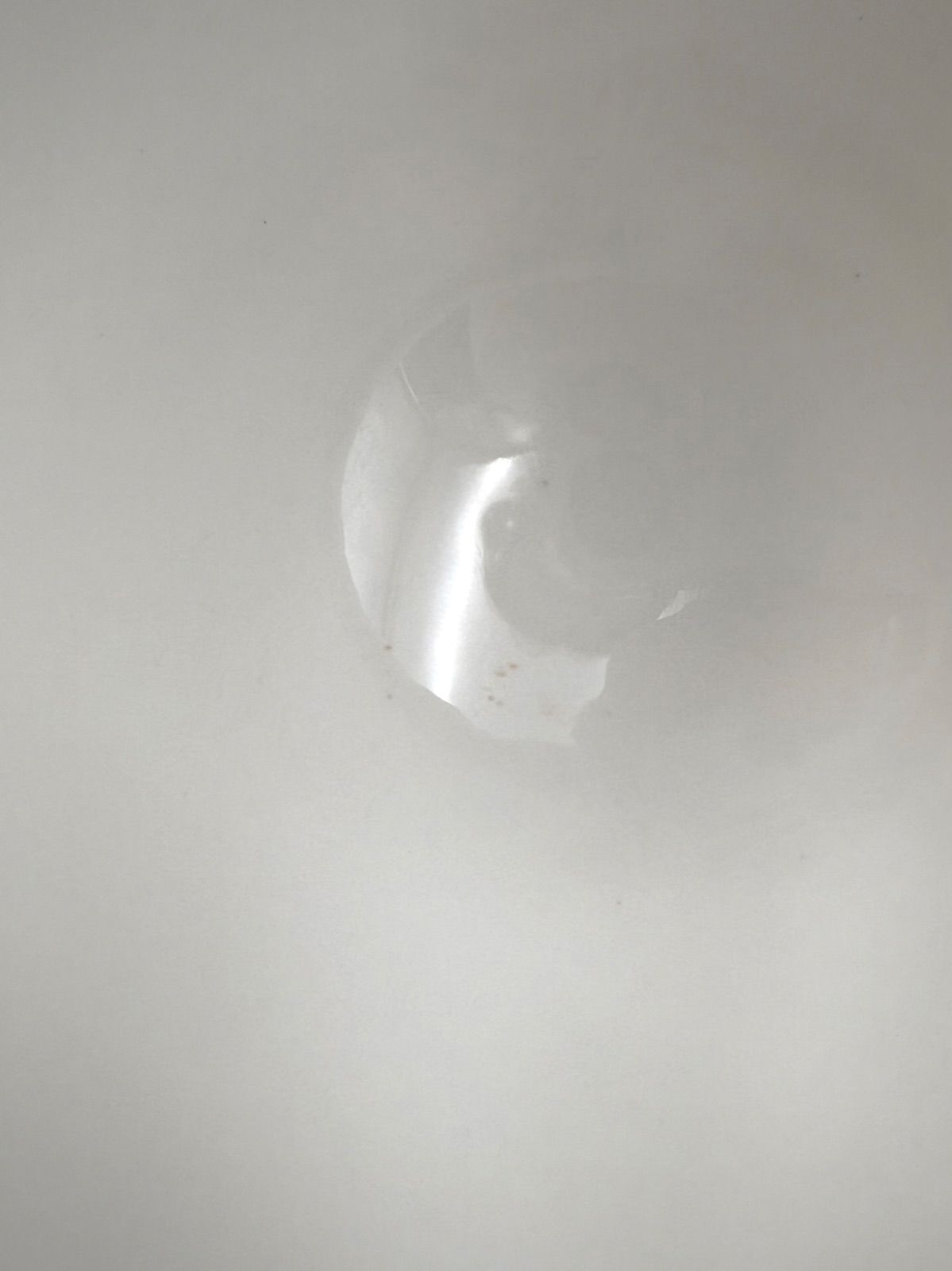 ウェッジウッド