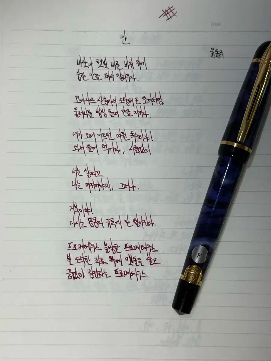  ウォーターマン フィ ブルーマーブル 万年筆 語学 辞書 学習参考書 本