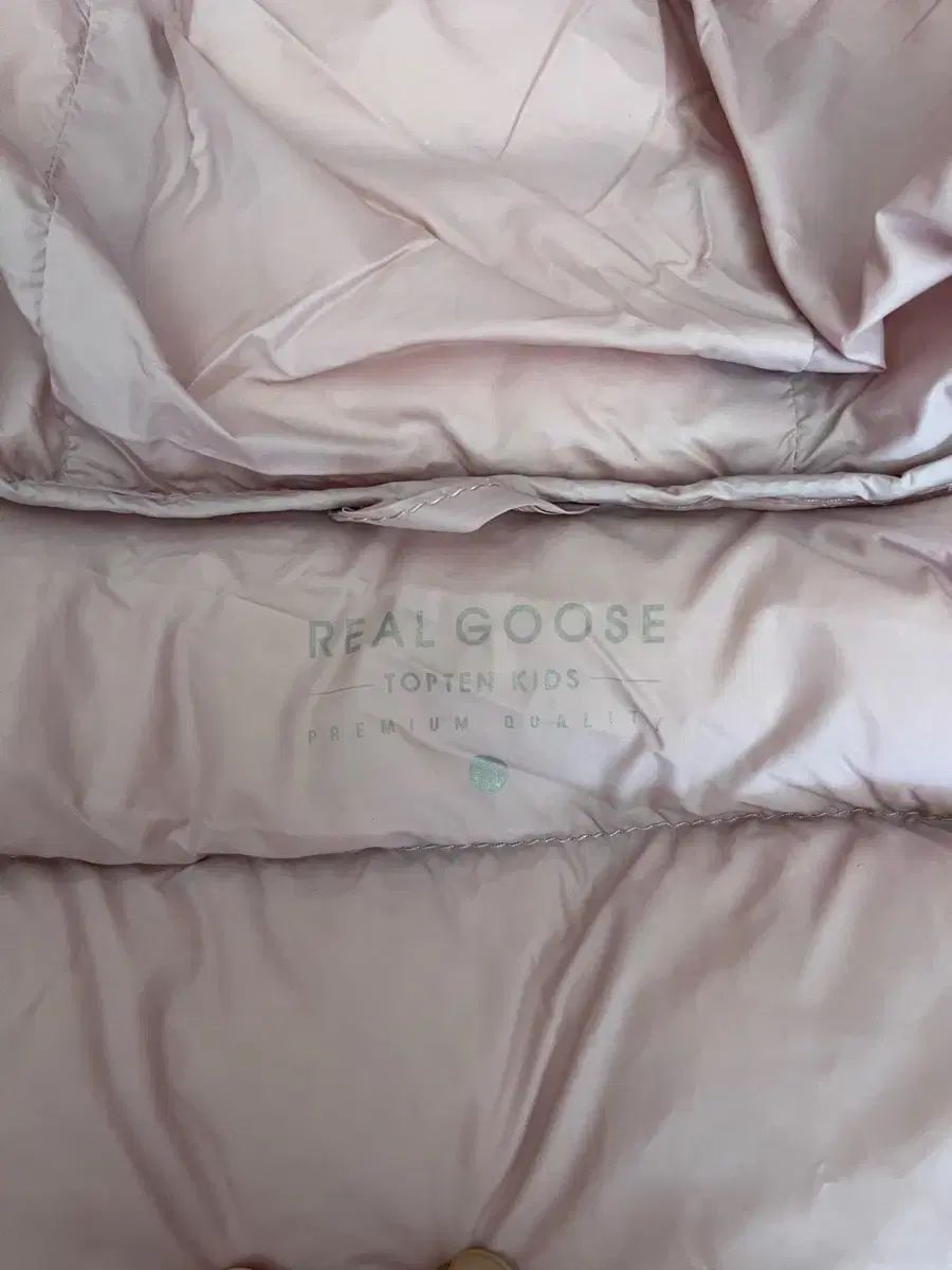 shop取引では対象外 女の子