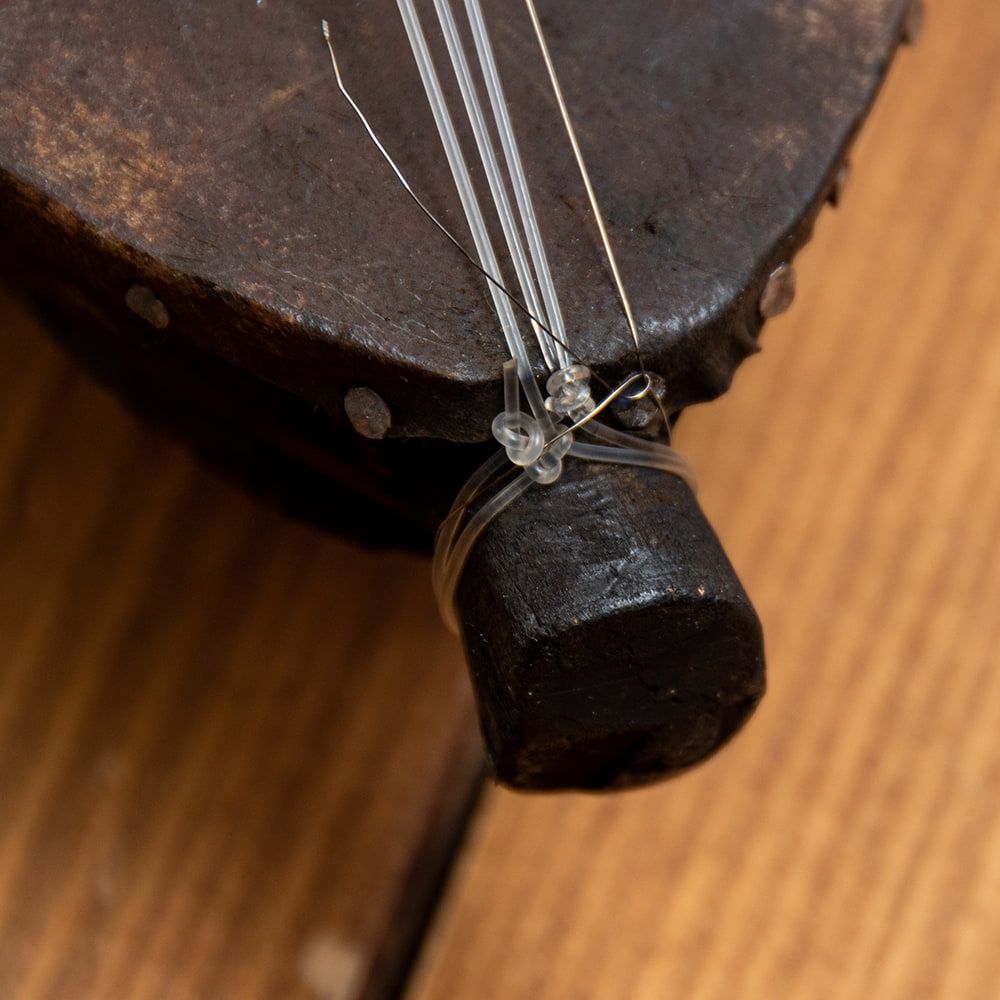 Sarangi サーランギー