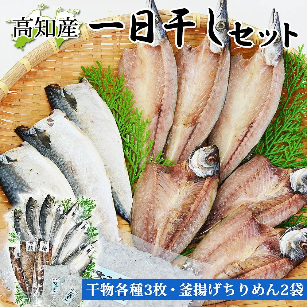 2026年最新】さわち皿の人気アイテム - メルカリ