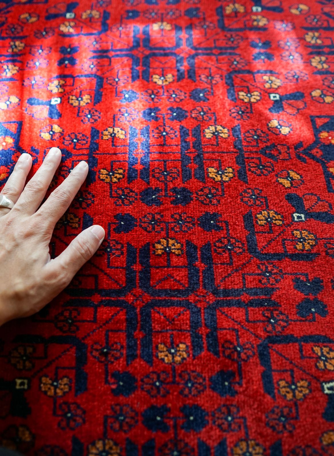 ビルジククオリティ 240×180cm