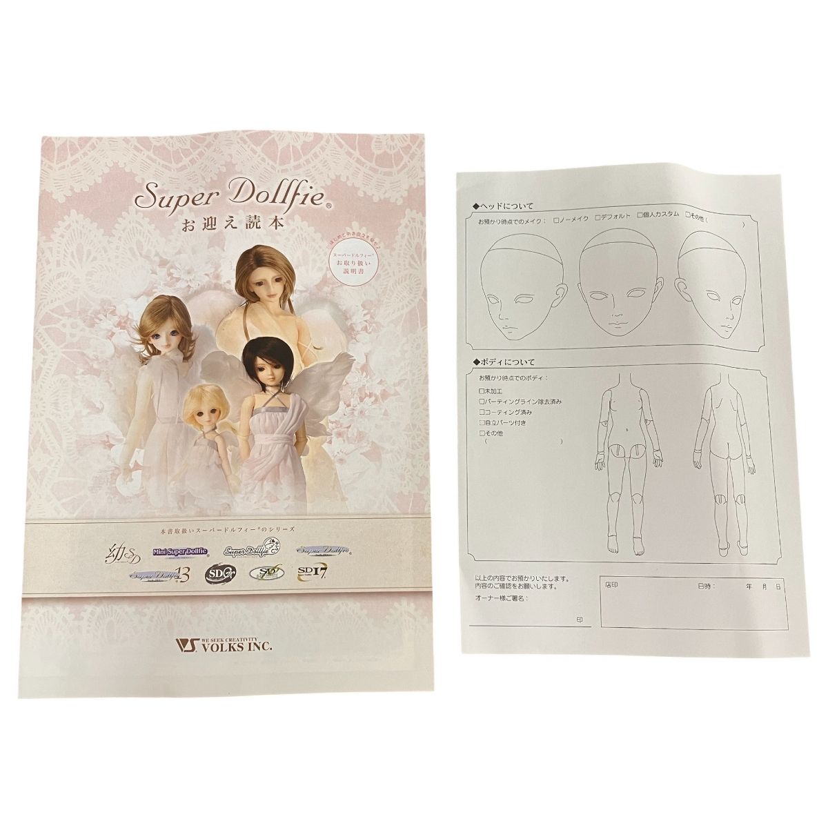 コーディネートモデル ウィッグ付