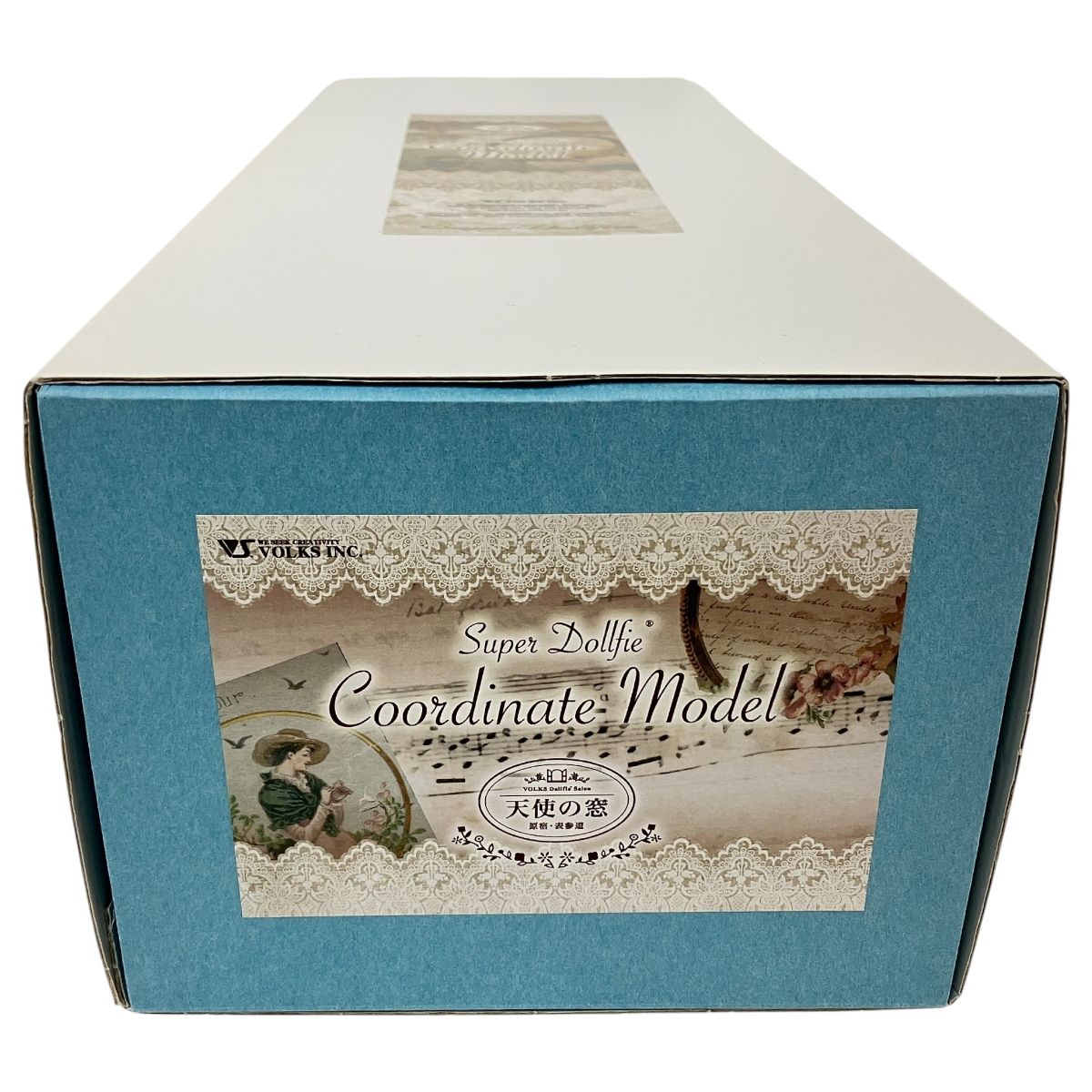 コーディネートモデル ウィッグ付