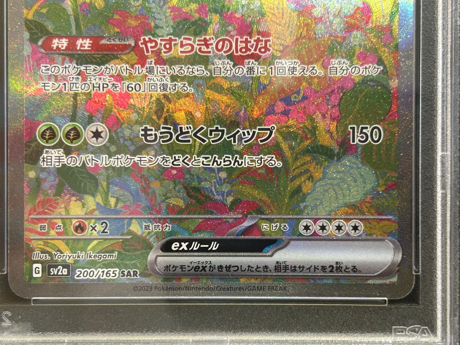 PSA10・3連番】フシギバナex・リザードンex・カメックスex SAR - メルカリ