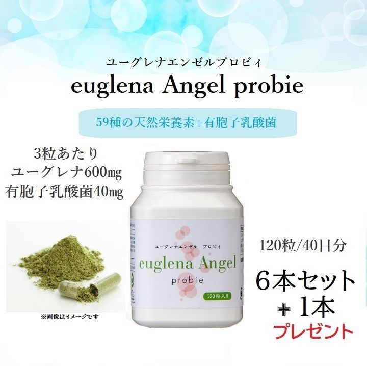 ユーグレナ エンゼル プロビィ 120粒 1日3粒40日分 入 6本セット 1本プレゼント 天然栄養素 有胞子乳酸菌 ユーグレナ みどりむし サプリメント 賞味期限 2027 05 20