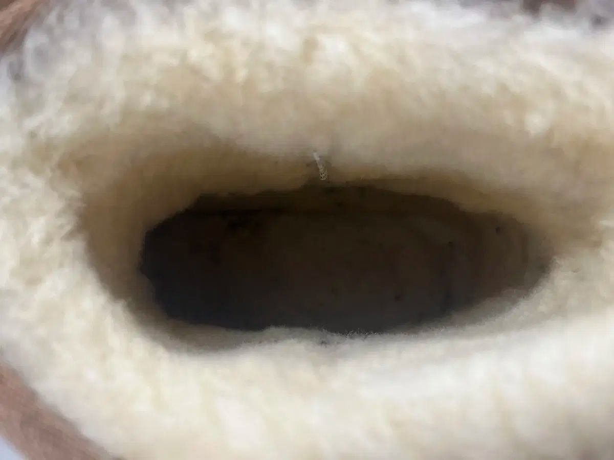  UGG アグ ブーツ メンズ チェスナット Classic ミニ 270 その他 ブーツ 革靴