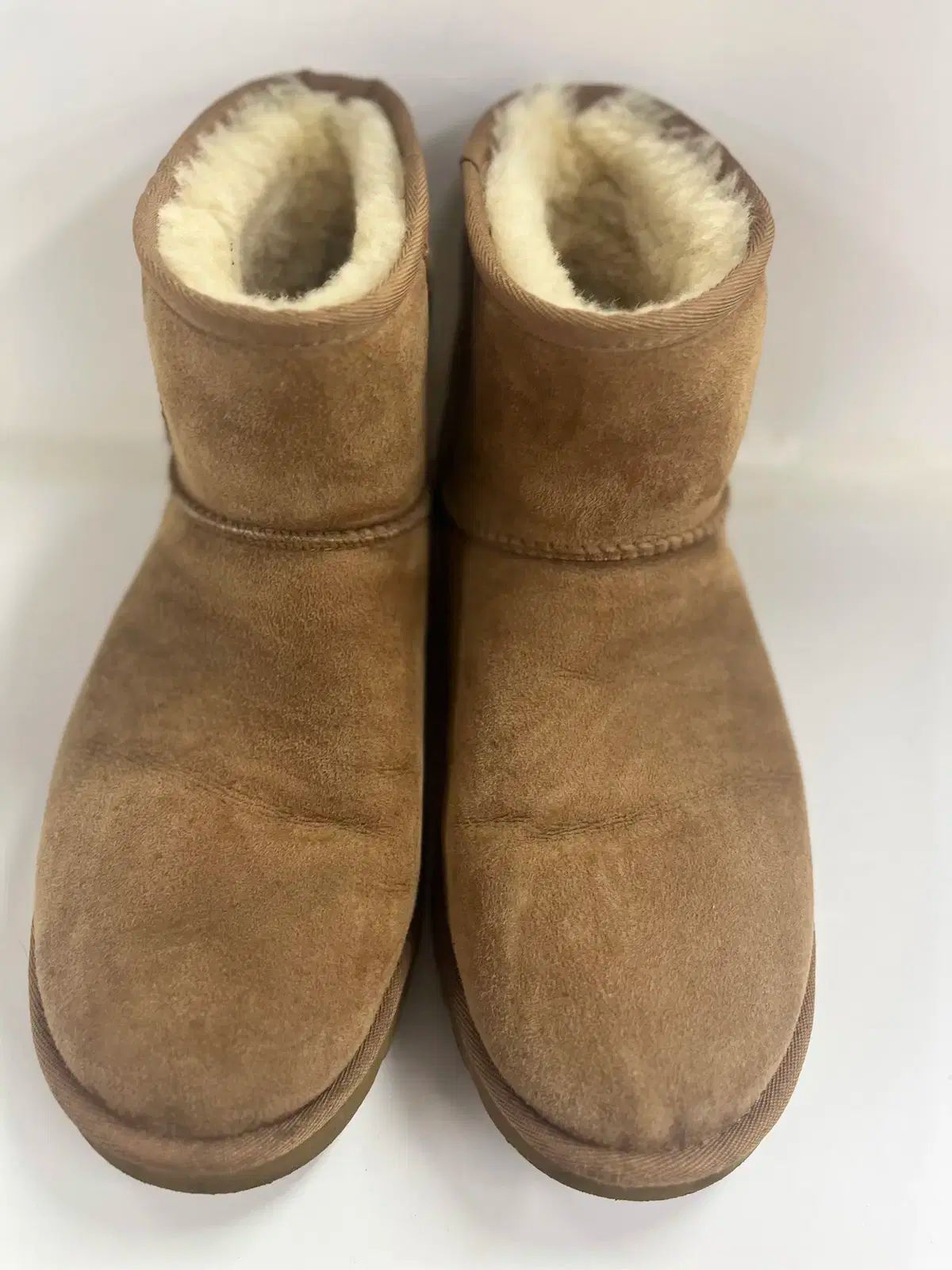 UGG アグ ブーツ メンズ チェスナット Classic ミニ 270