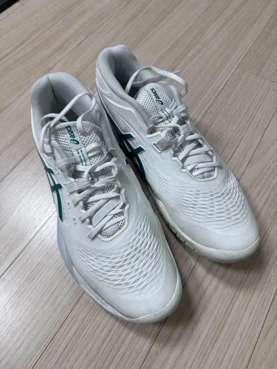 アシックス ゲルレゾリューション 285