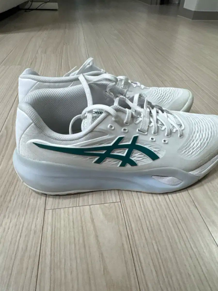 アシックス ゲルレゾリューション 285