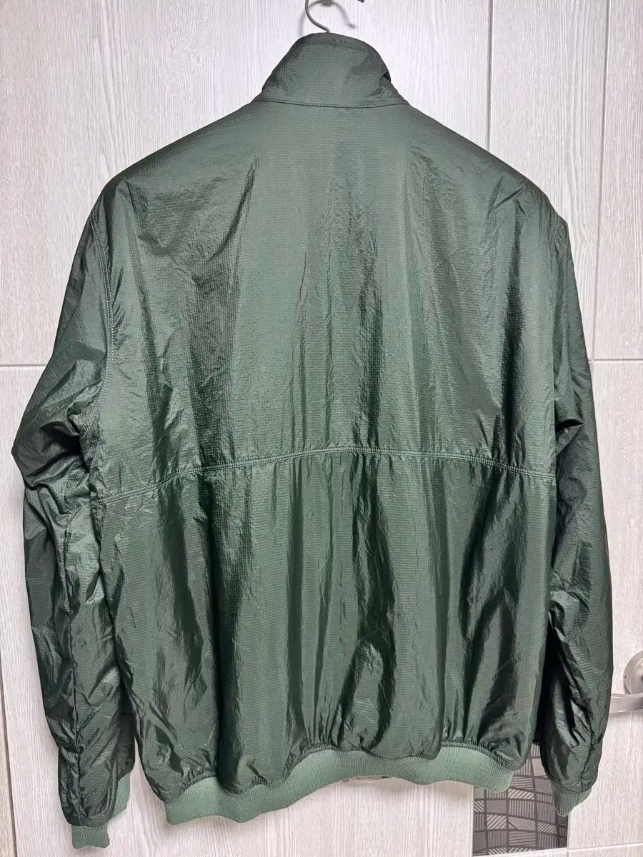 ド マイクロディニ