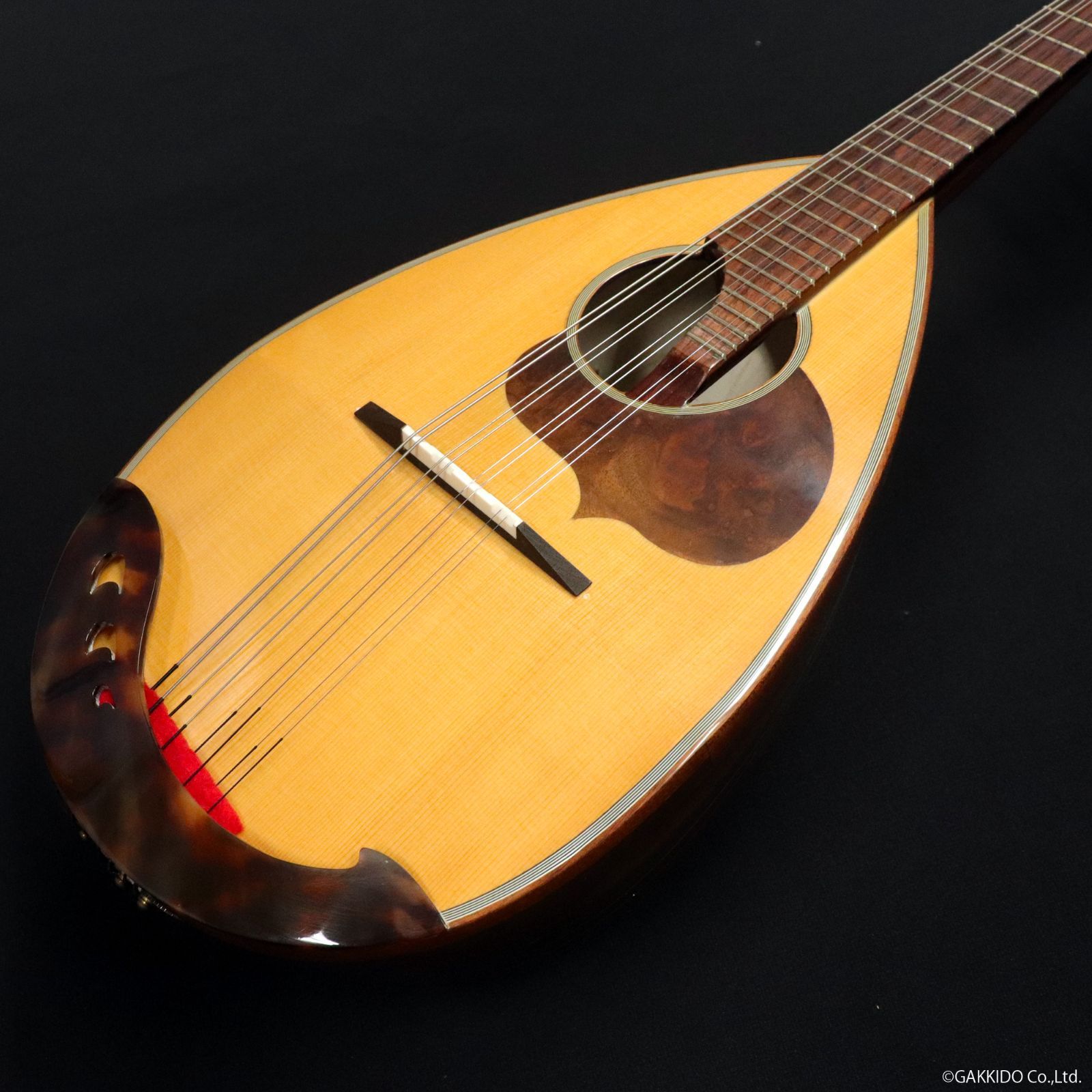 アウトレット Calace マンドリン No.24