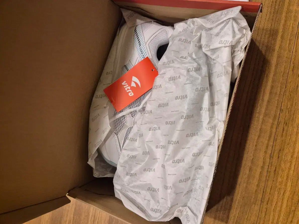 ビート バドミントンシューズ 260