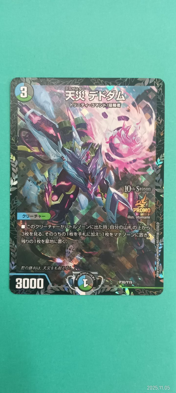 デドダム B4枚セット 【公式通販】