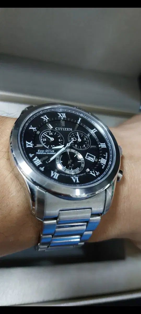 シチズン 검판 パーペチュアルカレンダー エコ ドライブ