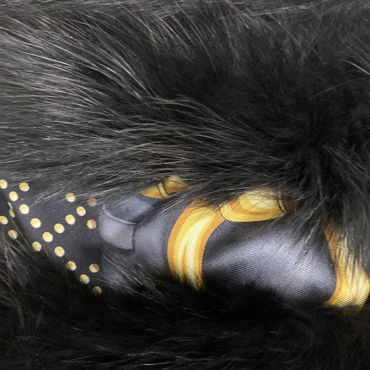 GUCCI(グッチ) マフラー - 黒×マルチ スヌード シルク、フォックス