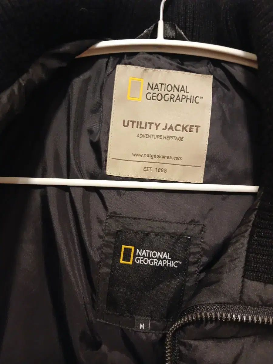ナショナルジオグラフィック ベスト 95 M サイズ