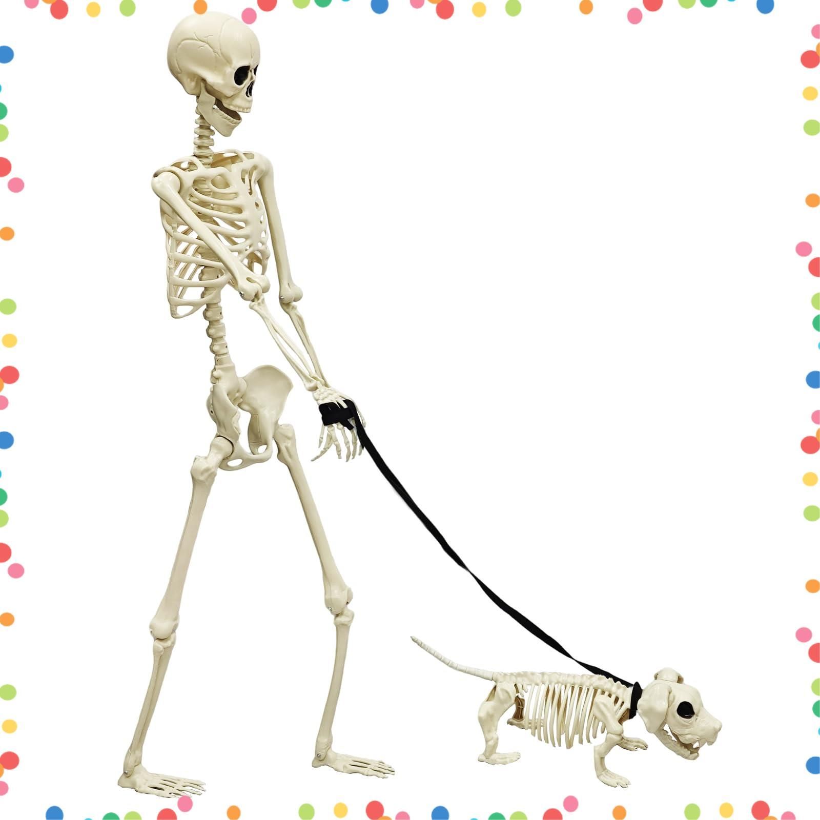 撮影用 吊り下げ 置物 ハロウィン装飾 家庭用 道具 リアル感強い 165cm等身大 犬2点セット 飾り ホラー 骸骨 ハロウィン モデル MARUNDA