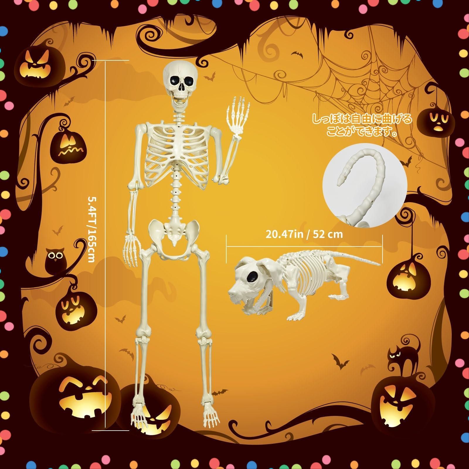 撮影用 吊り下げ 置物 ハロウィン装飾 家庭用 道具 リアル感強い 165cm等身大 犬2点セット 飾り ホラー 骸骨 ハロウィン モデル MARUNDA