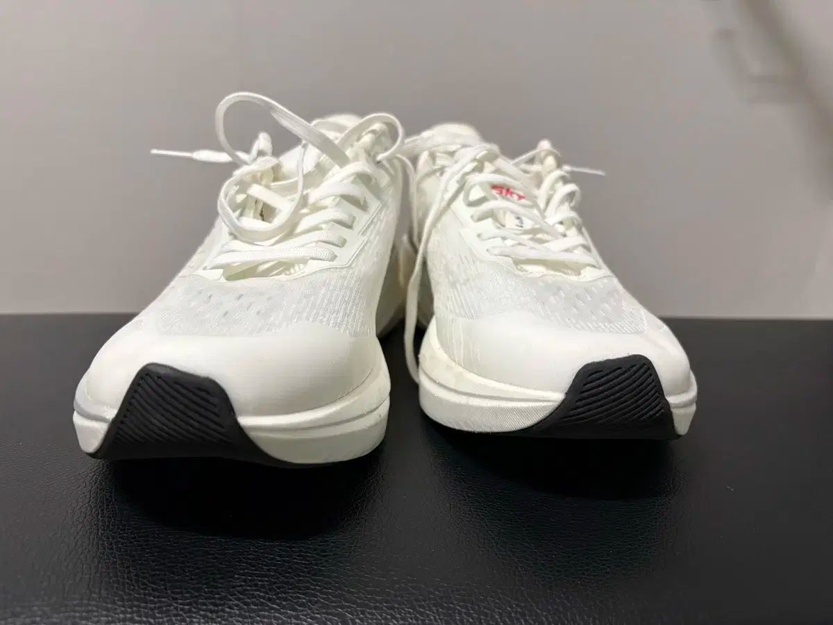 ディナフィット スピード MTN Pro 復活 スニーカー 255