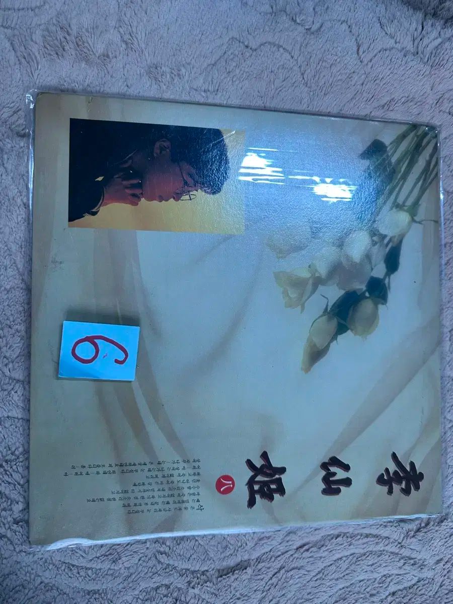 イ ソンヒ 8 家 彫刻船 1992 年 ソウルのアルバム LP みょうばん