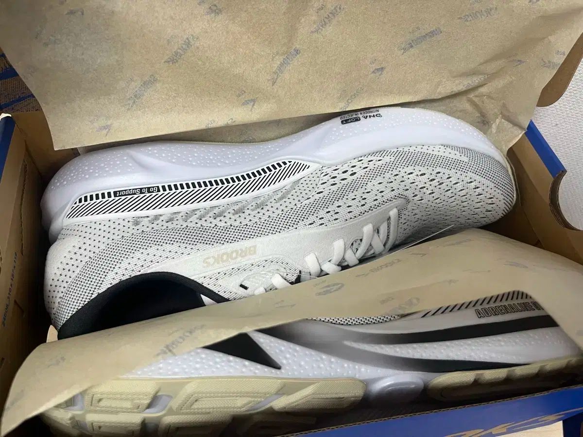 アデレナリン GTS