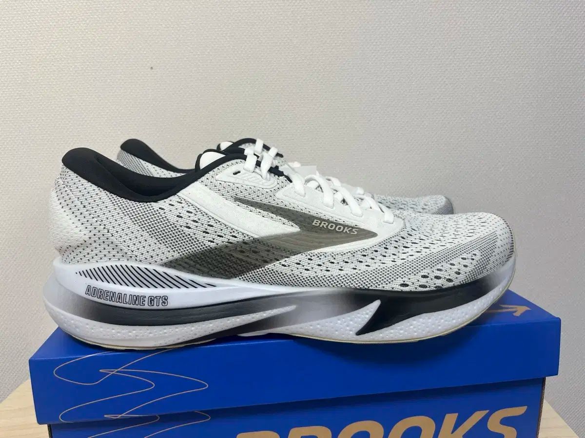 ブルックス アデレナリン GTS 24 ランニングシューズ 285 mm