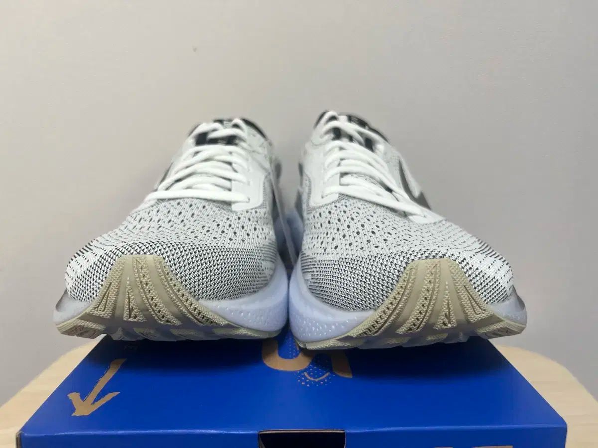 ブルックス アデレナリン