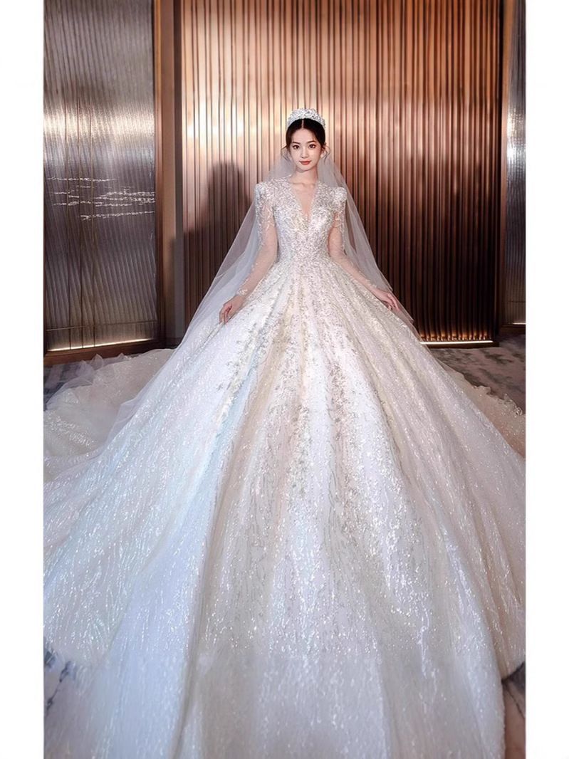 フランスの深いVの領主のウエディングドレスの新型の花嫁は出門重工長袖の白の尾は贅沢です