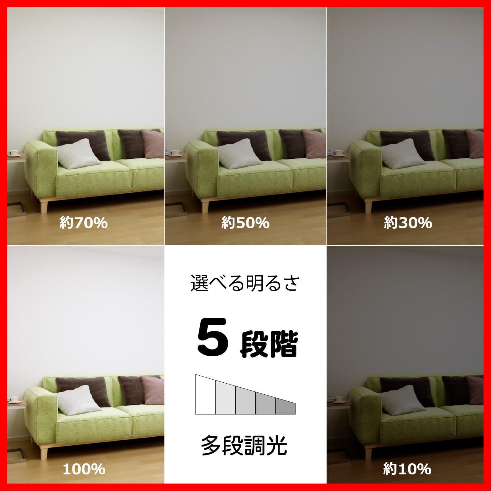 数量 シンプルデザイン 昼光色-電球色 6500K-2700K 調色調光タイプ 主照明５段階 常夜灯３段階 リモコン 5000lm 日本照明工業会基準 適用畳数 12畳 HLDC12259A LEDシーリングライト HotaluX ホタル