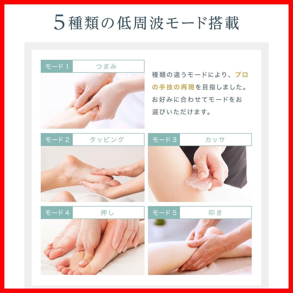 LEG FIT 新登場 博士監修 EMS強化 通電率150％UP 足裏 EMS フットマット 足ツボ足裏ケア ５種類モード19段階強 メモリー機能の電気foot fit NIPLUX コンパクト リモコン操作 充電式 足の疲れを取るグッズ ニッ