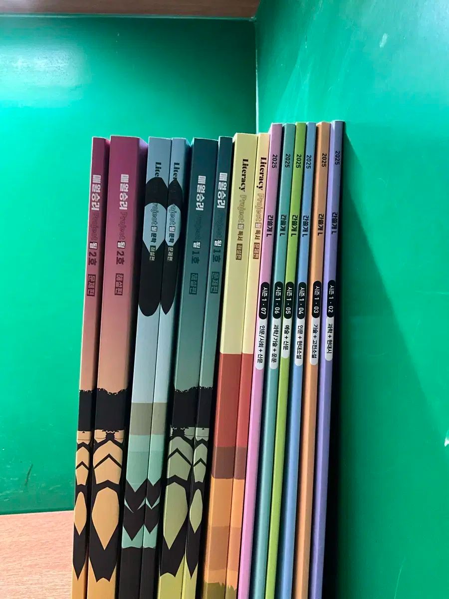 キム スンリになるプロジェクト イガム カンスルゲL 毎月勝利 読書 文学