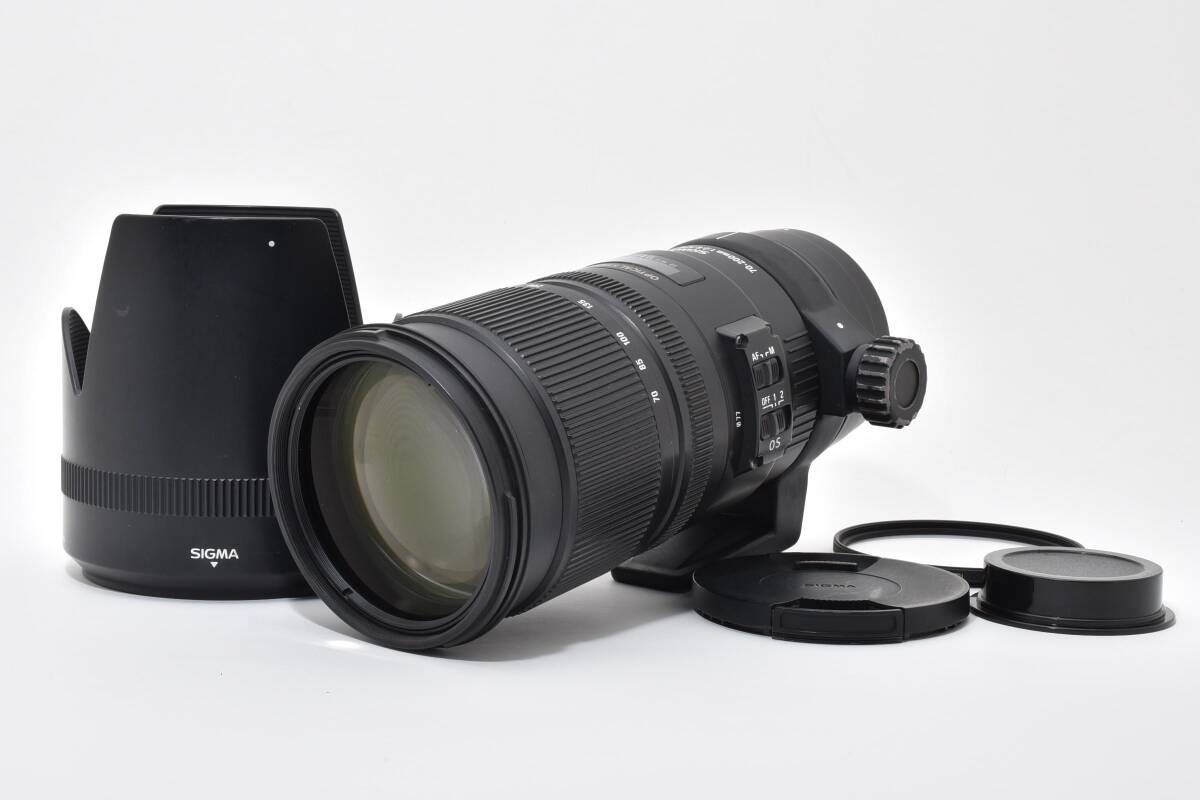 シグマ SIGMA 70-200mm F2.8 APO DG HSM OS ペンタックス PENTAX T6＃4748