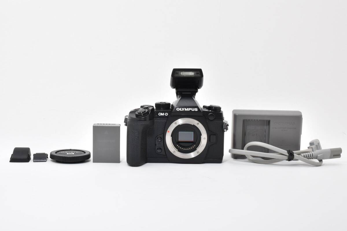 上品 ショット数4859回 オリンパス OLYMPUS OM-D E-M1 ブラック ボディ fl-lm2 フラッシュ付き T30＃4754